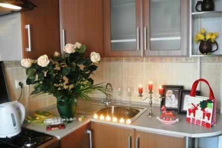 Студия (р-н Галерея Чижова), евроремонт, Wi-Fi, отчет.док-ты