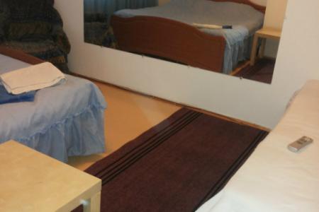 Однокомнатная квартира на пр-те Ленина