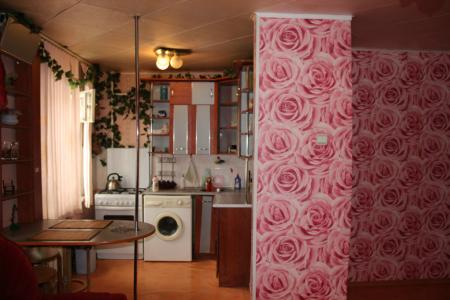 Двухкомнатная квартира в центре города