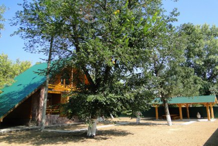 Коттедж Авиатор на берегу реки Волга в поселке Волжский