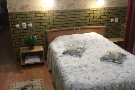 Комфортабельная квартира напротив "Колоннады" и "Нарзанной галлереи"