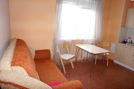 Уютная однокомнатная квартира