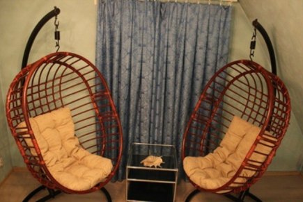 Коттедж вокруг хвойный и лиственный лес.