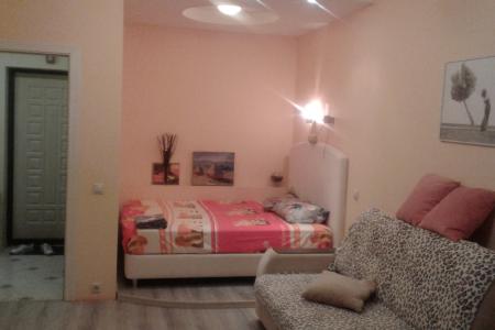 однокомнатная квартира с евроремонтом