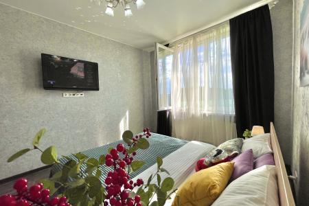 Трехкомнатная квартира на 9 мест