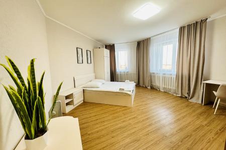 однокомнатные апартаменты в центре