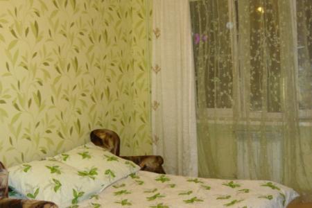 Однокомнатная квартира с евроремонтом в центре города