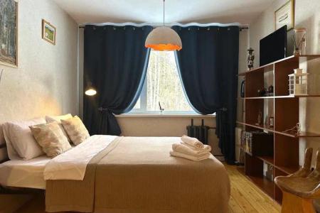 УНИКАЛЬНАЯ 1 КОМНАТНАЯ КВАРТИРА В ЦЕНТРЕ АКАДЕМГОРОДКА РЯДОМ С НГУ ДЛЯ 2 ГОСТЕй с ПРОЕКТОРОМ