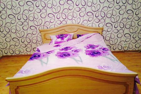 Просторная квартира рядом с парком.