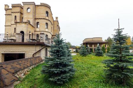 Шикарный замок с сауной и бассейном в садоводстве Услада