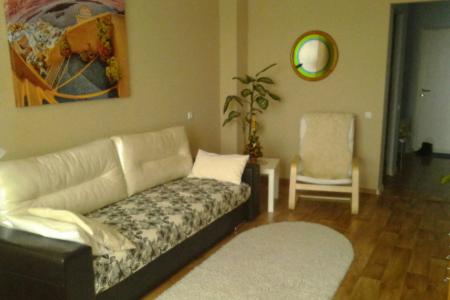 Однокомнатная квартира в Боровлянах в новостройке