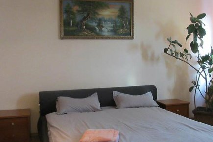 Сдаю посуточно 1-ый этаж коттеджа,  3 комнаты. Владивосток