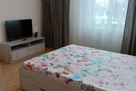 Двухкомнатная квартира в центре города с видом на Покровскую башню и реку Великую