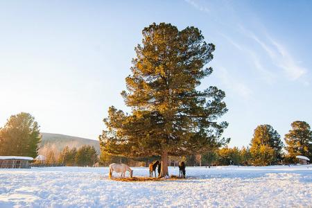 База отдыха "Дикий Рай"