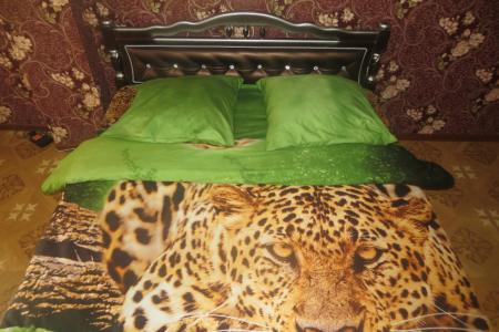 1-комнатная квартира у Цирка, Строительного института