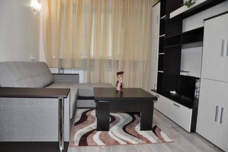 Комфортная 1-ком. квартира с интернетом в центре города