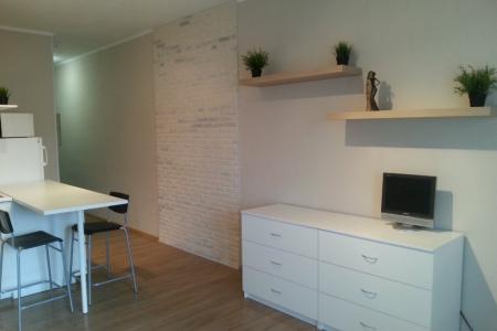 Квартира -студия на берегу Невы