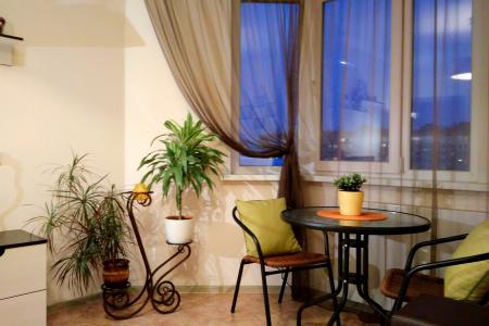 Однакомнатная квартира на московском проспекте