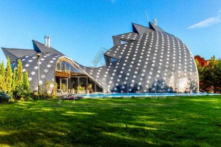 Топ 38. Акула