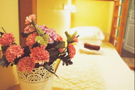 Хостел Путник