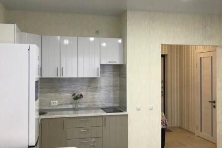 Однокомнатные апартаменты в центре Перми