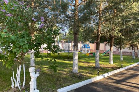 Топ 175. Рогозино