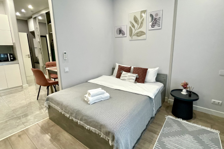 Четырехместная однокомнатная квартира в жк бизнес-класса