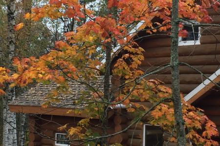 Дом на краю леса рядом с озером