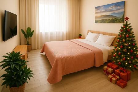 Уютная однокомнатная квартира в пяти минутах от центра города