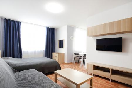 Однокомнатная квартира на Ленинском