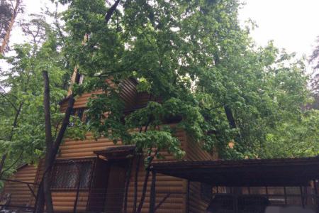 Уютный коттедж в сосновом лесу у реки Волга