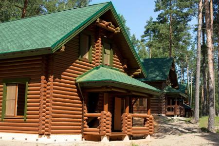 Коттедж с камином и сауной в Ленинградской области