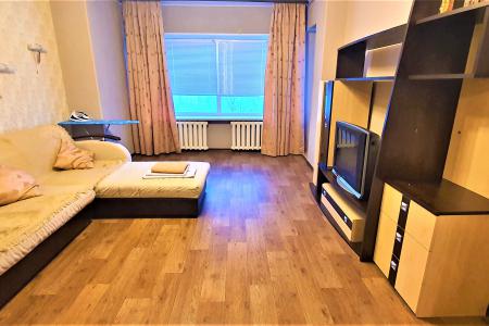 Двухкомнатная квартира у озера и центрального офиса Газпром