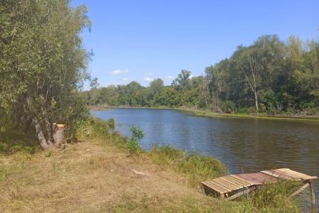 Сдаём мини Коттедж