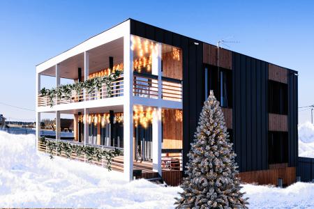 Vinity Village арт коттедж с банкетным залом