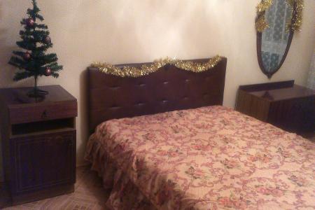 Двухкомнатная квартира для командировочных