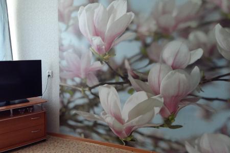 Однокомнатная комфортная квартира