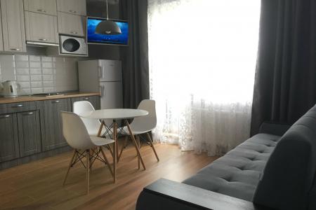 Однокомнатная "люкс" на Вознесенской