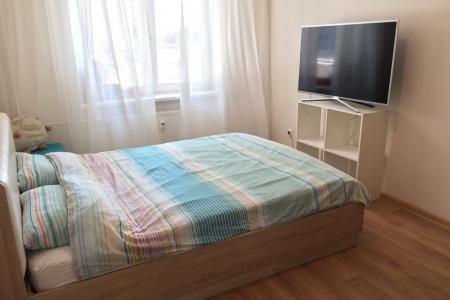 Однокомнатная квартира в центре