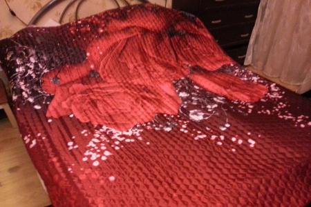 Уютная однокомнатная квартира