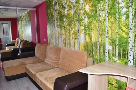 ЮУрГУ, Алое поле, ЮУрГГПУ, уютная и красивая квартира!