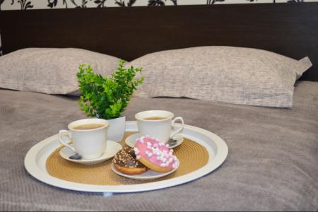 Квартира комфорт-класса в центре города