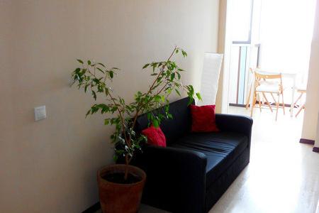 Сдаю элитную квартиру в центре