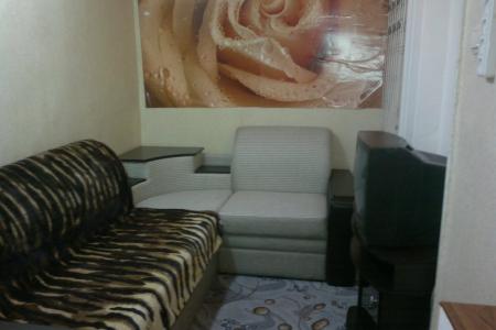 Однокомнатная квартира возле парка