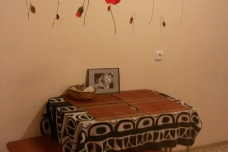 Однокомнатная квартира в тихом районе в 10 мин от центра