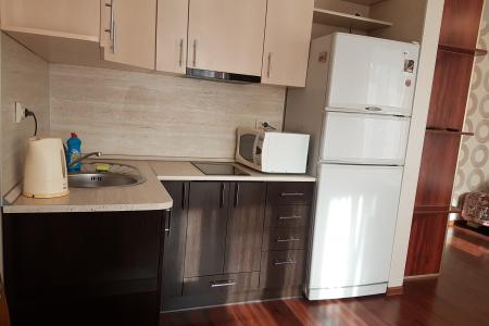 Уютная квартира в Новом Доме на Столетии. Посуточно во Владивостоке