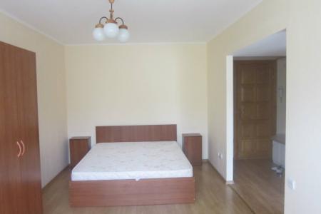 Однокомнатная квартира возле гостиницы "Омск"