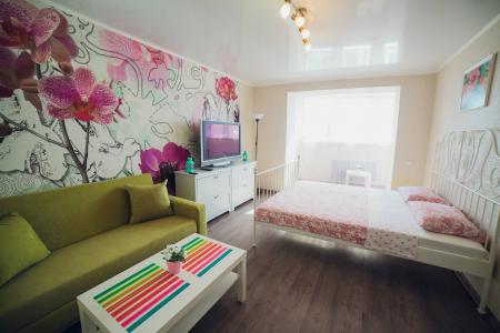 1 комн. квартира Фирма МИР