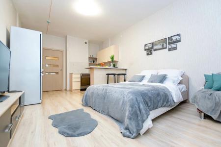 Cosmos Apart ПРОСТОРНАЯ СТУДИЯ В ЦЕНТРЕ ГОРОДА ДЛЯ 3 ГОСТЕЙ