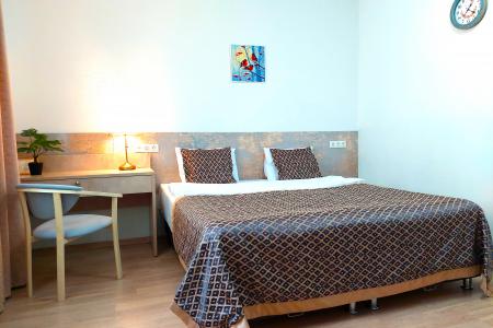 Однокомнатная квартира в Академическом